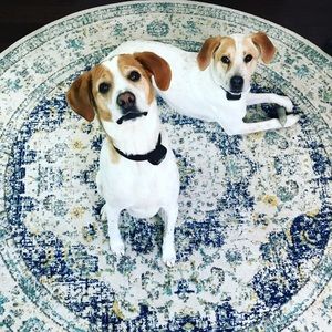 Meet your Posher, Jaclyn